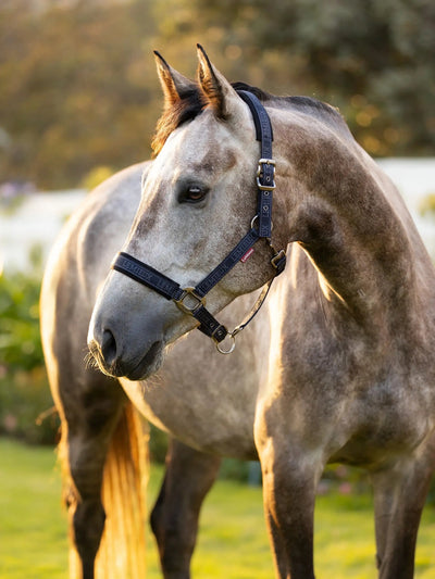 LeMieux Logo Headcollar