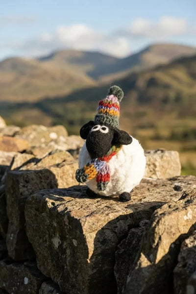 Pachamama Margaret the Lakeland Sheep
