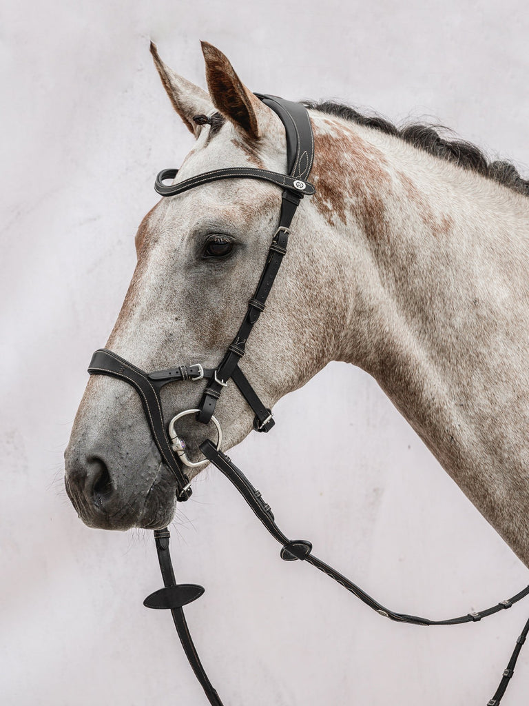 PS of Sweden Paladin Bridle