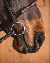 Fager Nina Loose & Fixed Rings