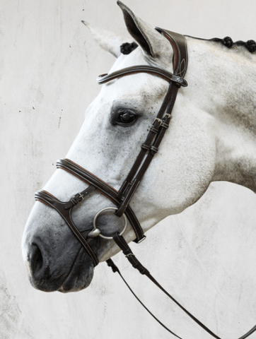 PS of Sweden Paris Bridle