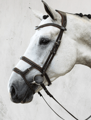 PS of Sweden Paris Bridle