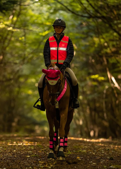 Woof Wear LED Hi Vis Riding Vest
