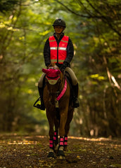 Woof Wear LED Hi Vis Riding Vest