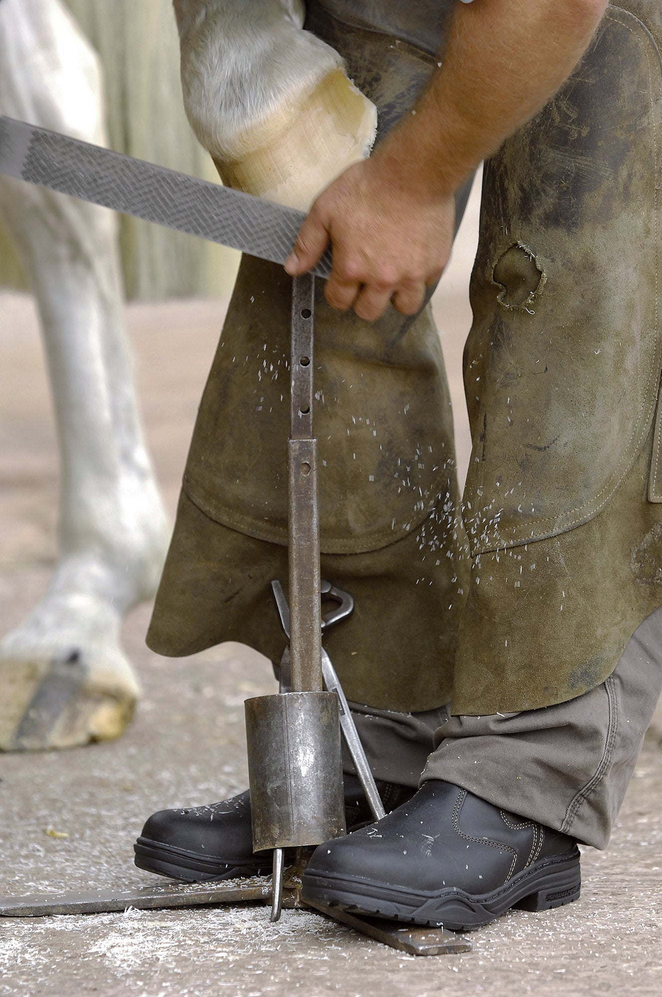 Protective Jodhpur Boot by Mountain Horse