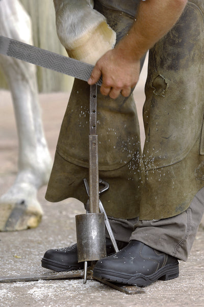 Protective Jodhpur Boot by Mountain Horse