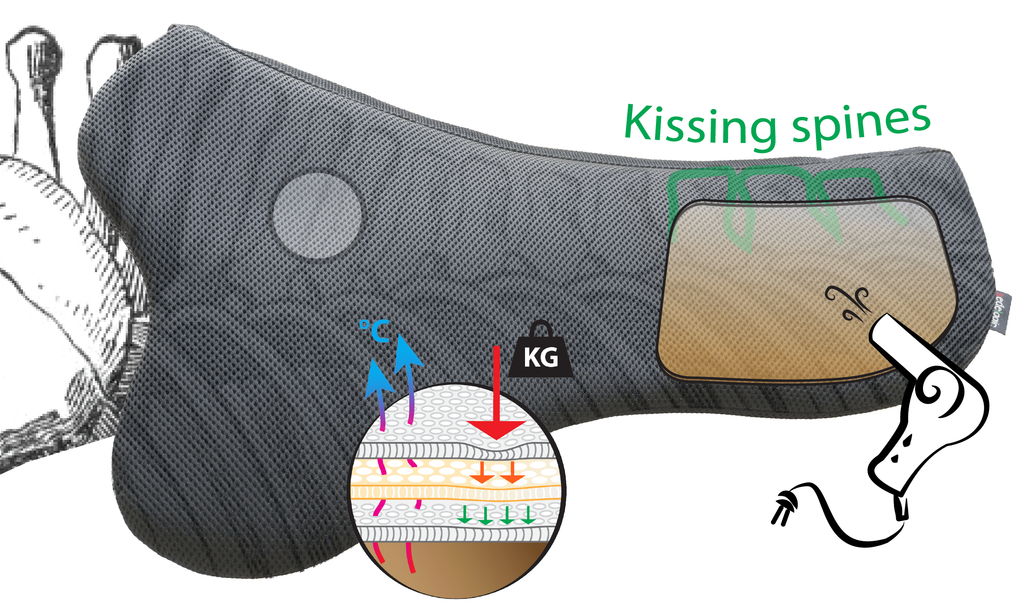 Sedelogic S-Curve Pad