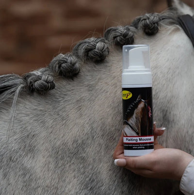 Smart Grooming Plaiting Mousse