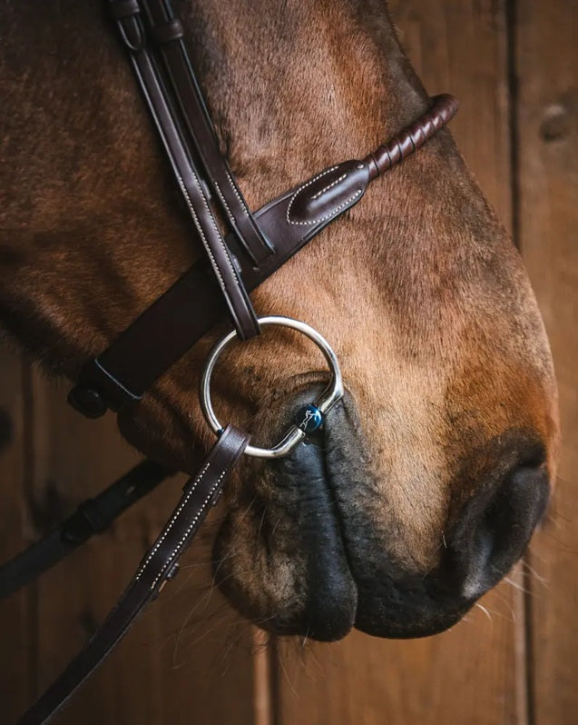 Fager Sally Titanium Bits - Baby Fulmer & Fixed Ring