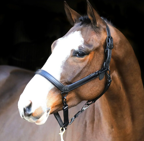 Liveryman Clipper Halter