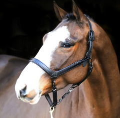 Liveryman Clipper Halter