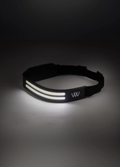 Woof Wear LED Head Torch