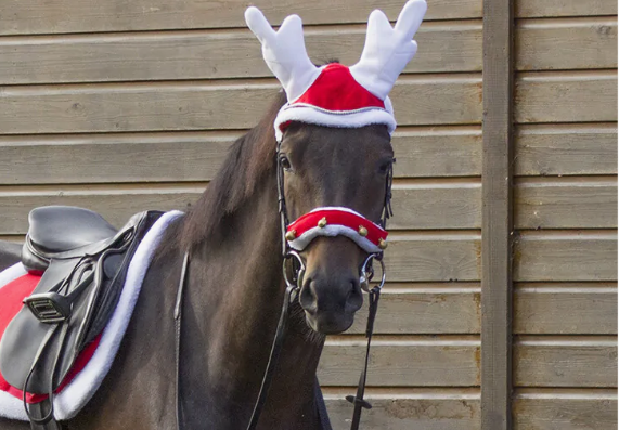 QHP Christmas Santa Bridle Set
