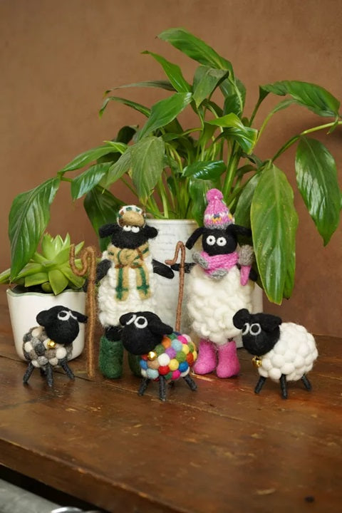 Pachamama Shearing Sheila