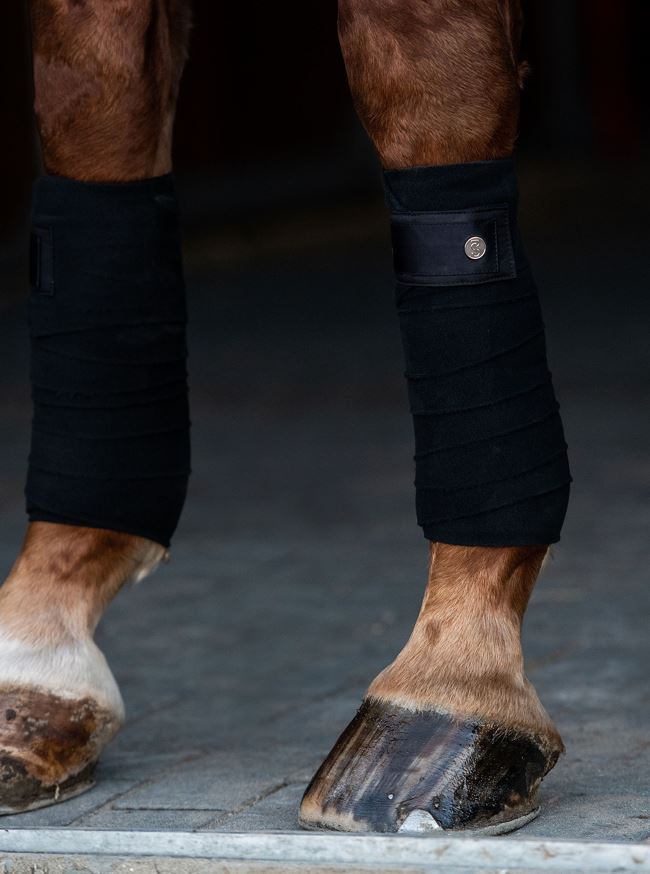 PS of Sweden Signature Polo Bandage