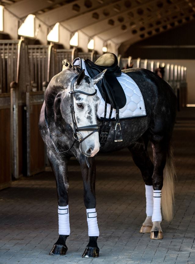 PS of Sweden Signature Polo Bandage