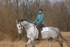 Stierna Storm Jacket - Dark Enamel