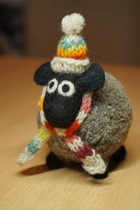 Pachamama Stuart the Lakeland Sheep