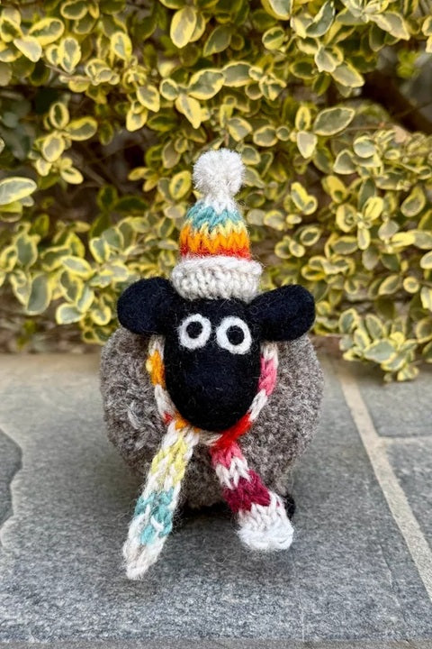 Pachamama Stuart the Lakeland Sheep