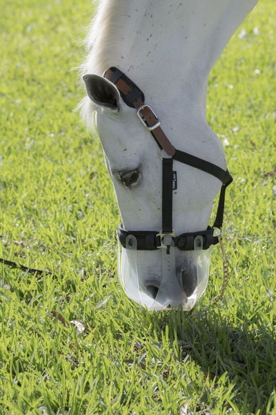 ThinLine Breakaway Halter