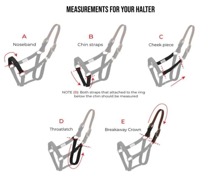 ThinLine Breakaway Halter