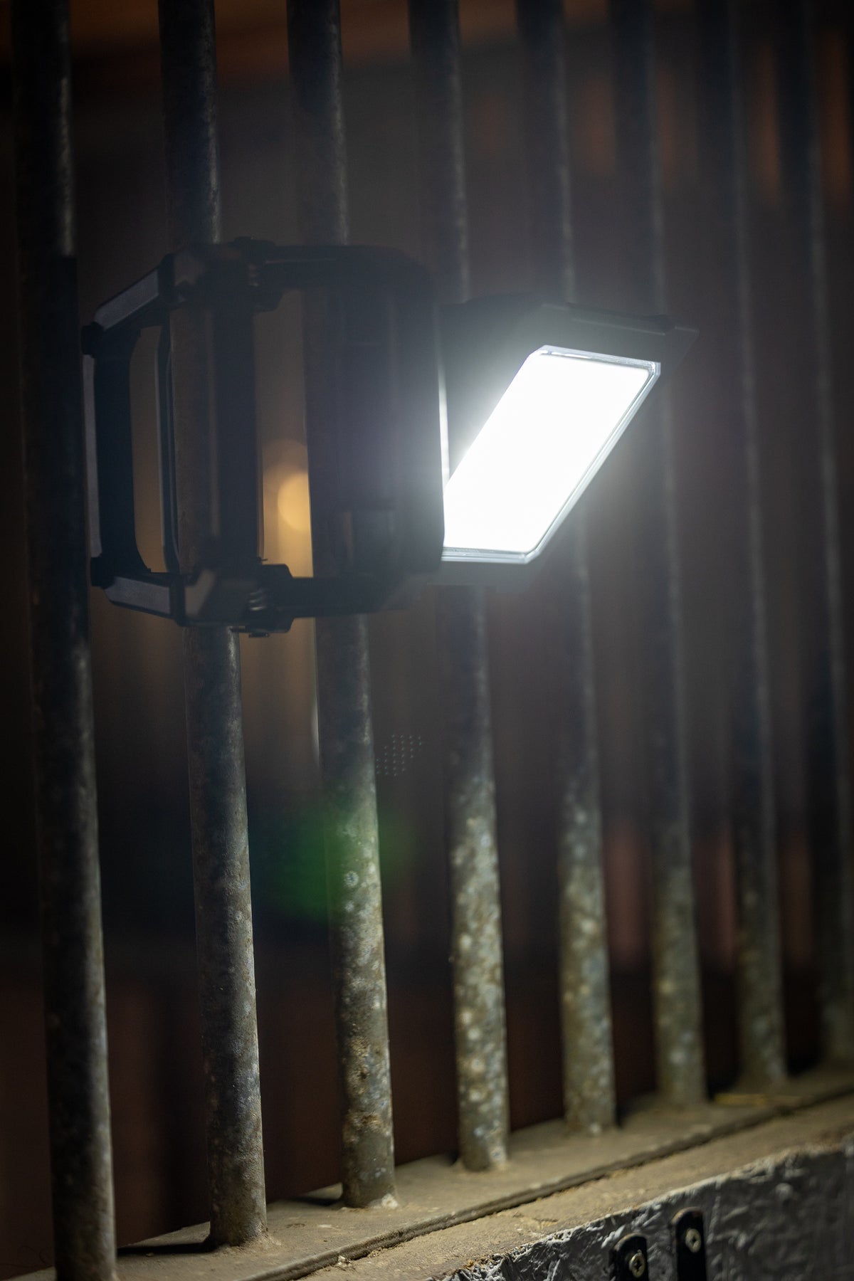 Woof Wear LED Yard Clip Light