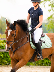 PS of Sweden Wave Jump Saddle Pad