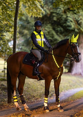 Woof Wear LED Hi Vis Riding Vest