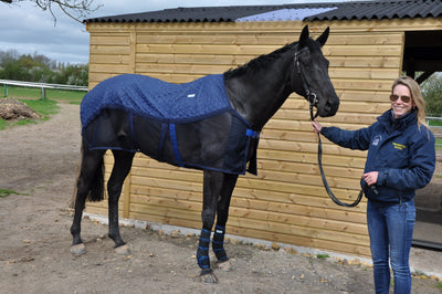 Aerochill Rug for Horses