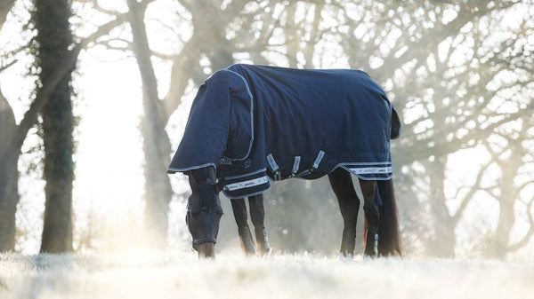 LeMieux Arika Storm-Tek Rug 200g