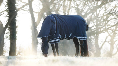 LeMieux Arika Storm-Tek Rug 200g (with Leg Straps)