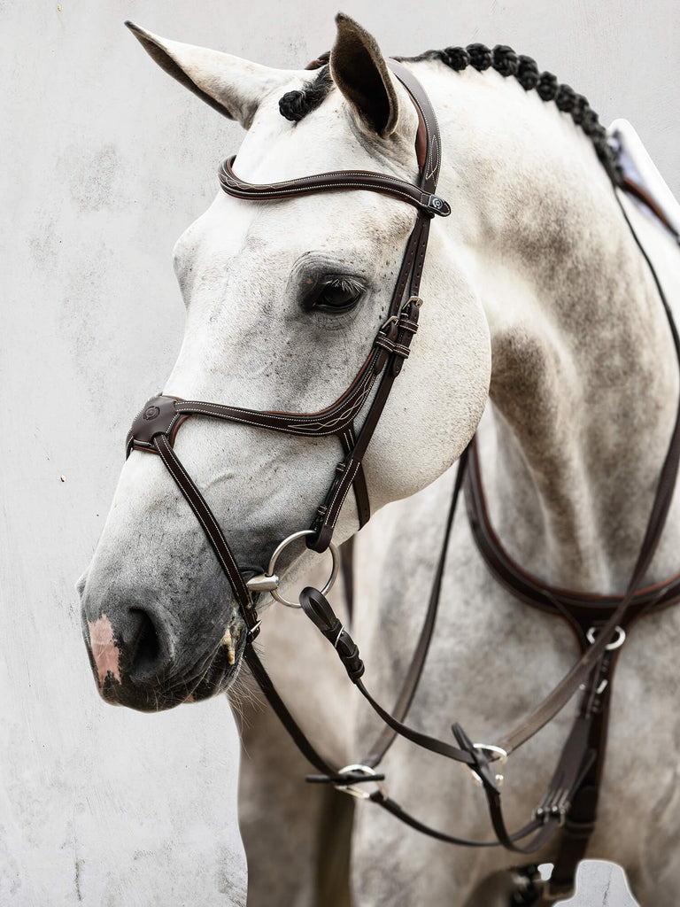 PS of Sweden Athens Bridle