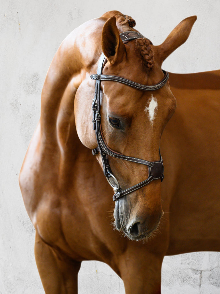 PS of Sweden Athens Bridle