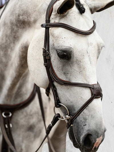 PS of Sweden Athens Bridle