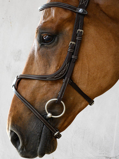 PS of Sweden Athens Bridle