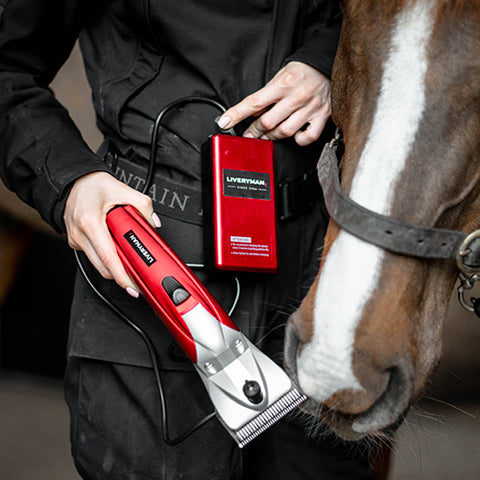 Liveryman Black Beauty Battery Pack
