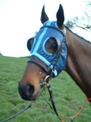 Blinkers and Visors (Racesafe)