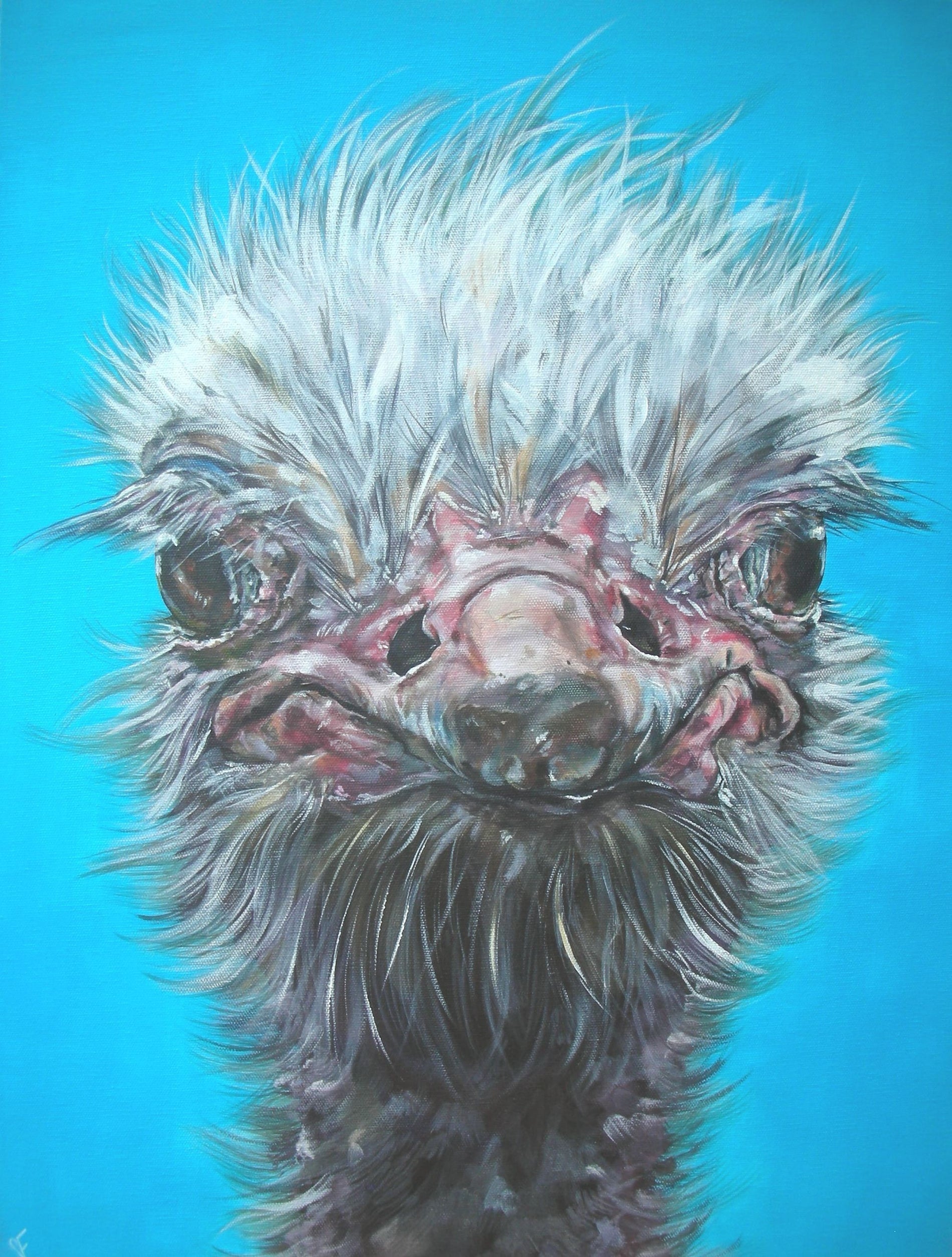 Limited Edition Print