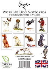 Animal Notecards