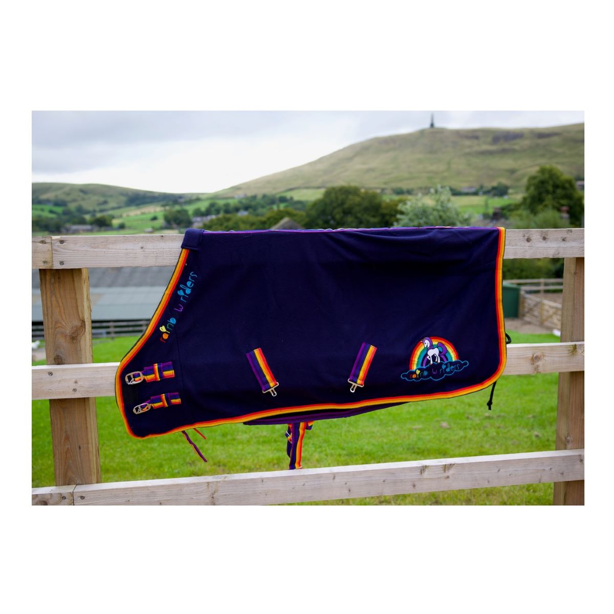Cameo Rainbow Riders Fleece Rug