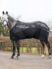 LeMieux Carbon Cooler Rug