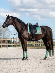 PS of Sweden Signature Dressage Saddle Pad