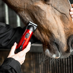 Liveryman Classic Trimmer Rechargeable
