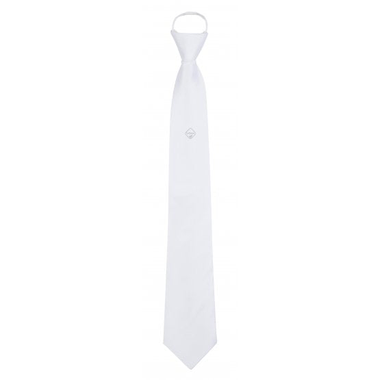 LeMieux Monsieur Competition Tie