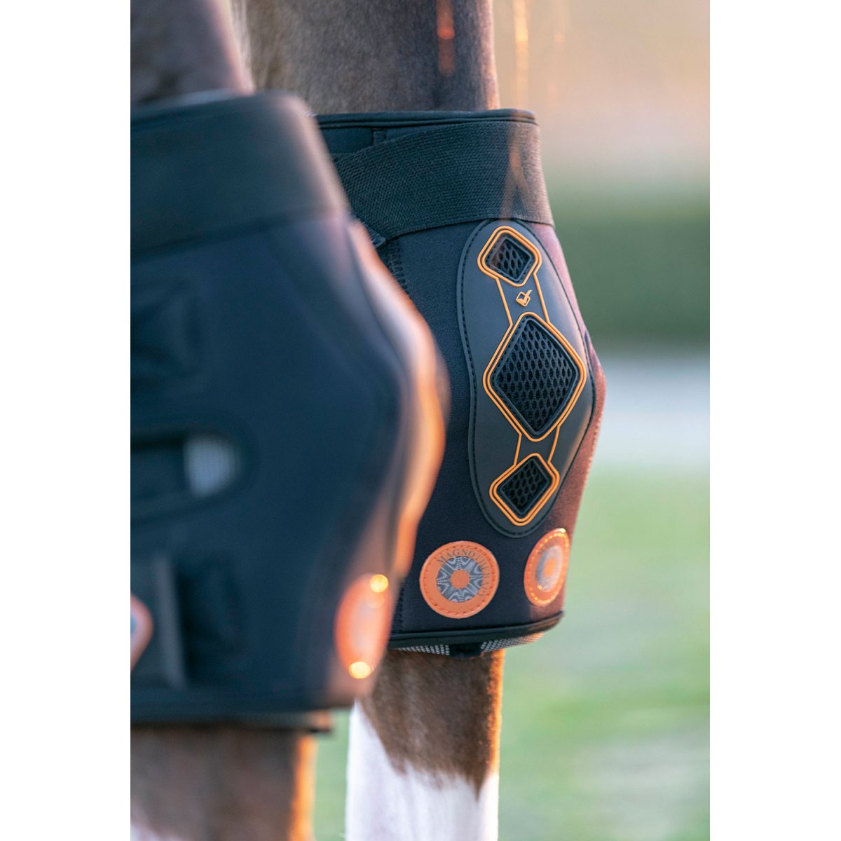 Conductive Magnotherapy Hock Boot by Le Mieux