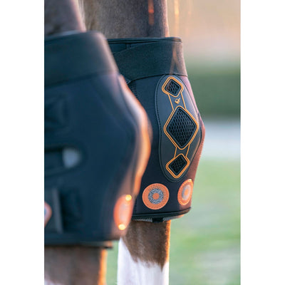 Conductive Magnotherapy Hock Boot by Le Mieux