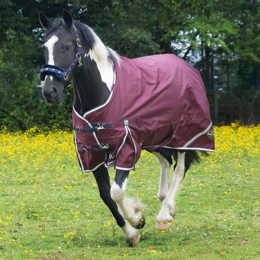 Gallop Trojan Xtra 50g Duraproof Turnout