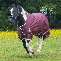 Gallop Trojan Xtra 50g Duraproof Turnout