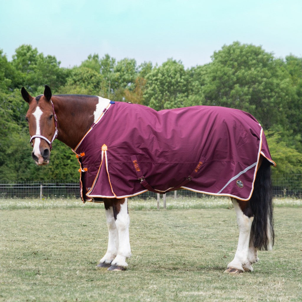 Gallop Trojan Xtra 100 Duraproof Turnout