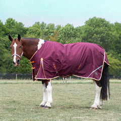 Gallop Trojan Xtra 100 Duraproof Turnout